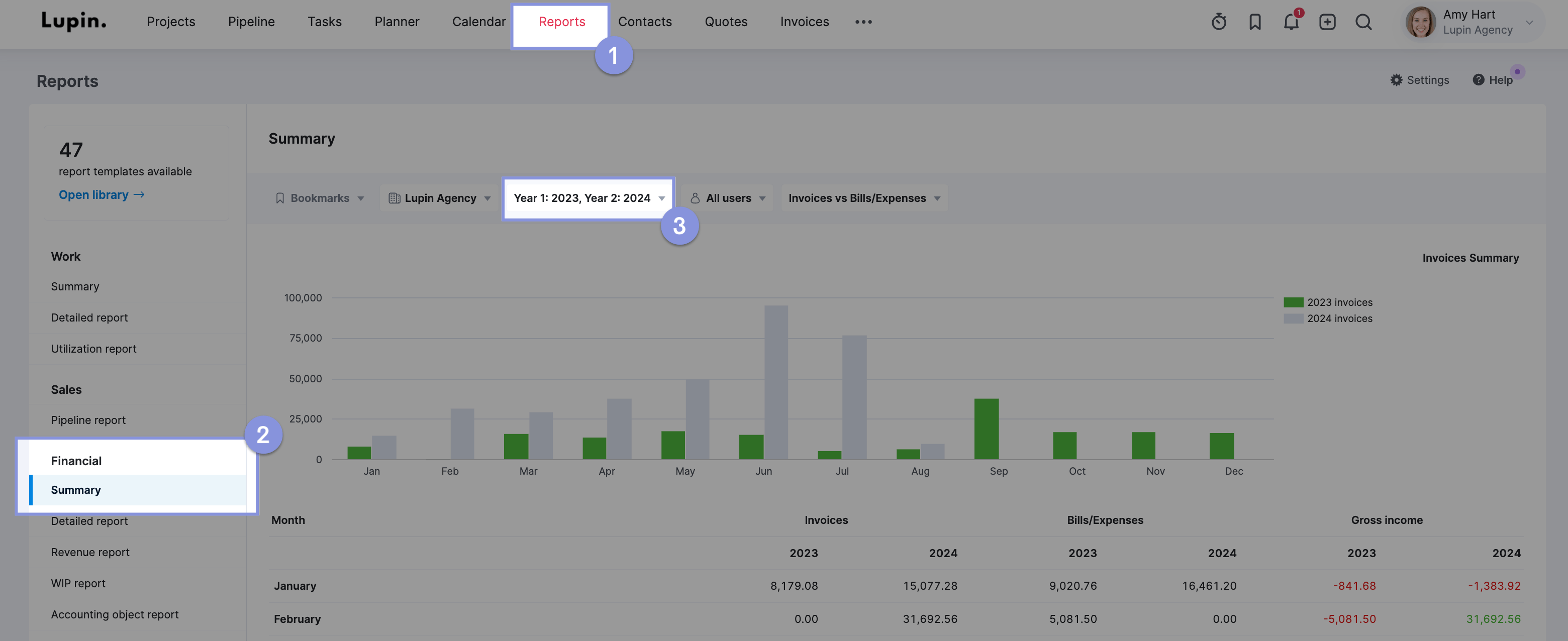 Financial summary report filter